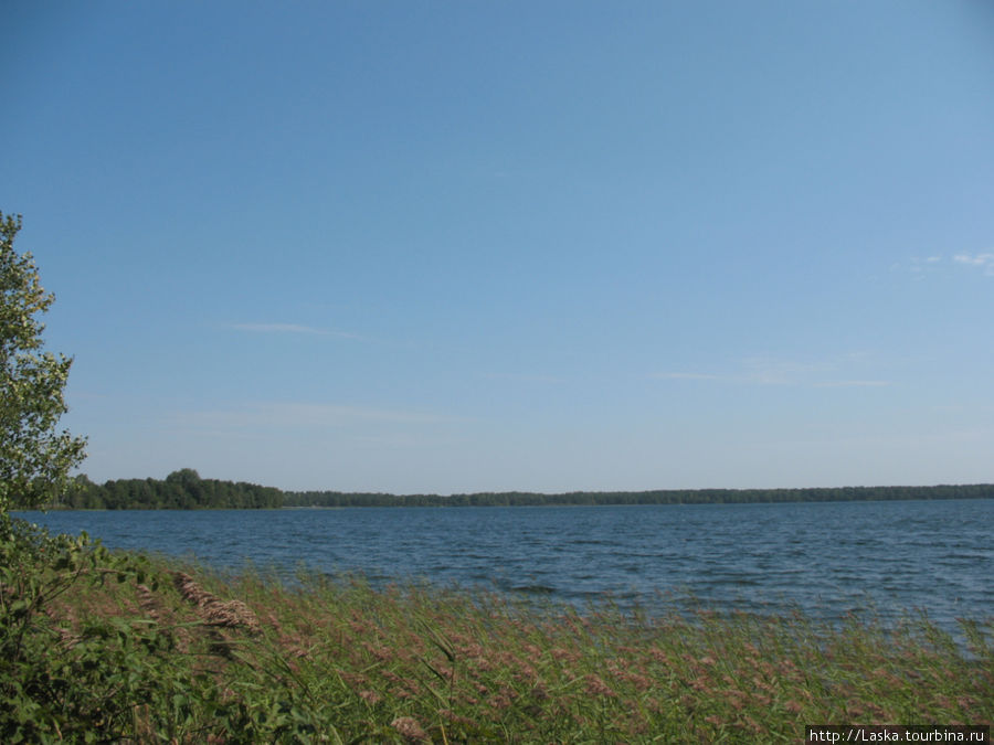 Вокруг озера Песочное Шацк, Украина