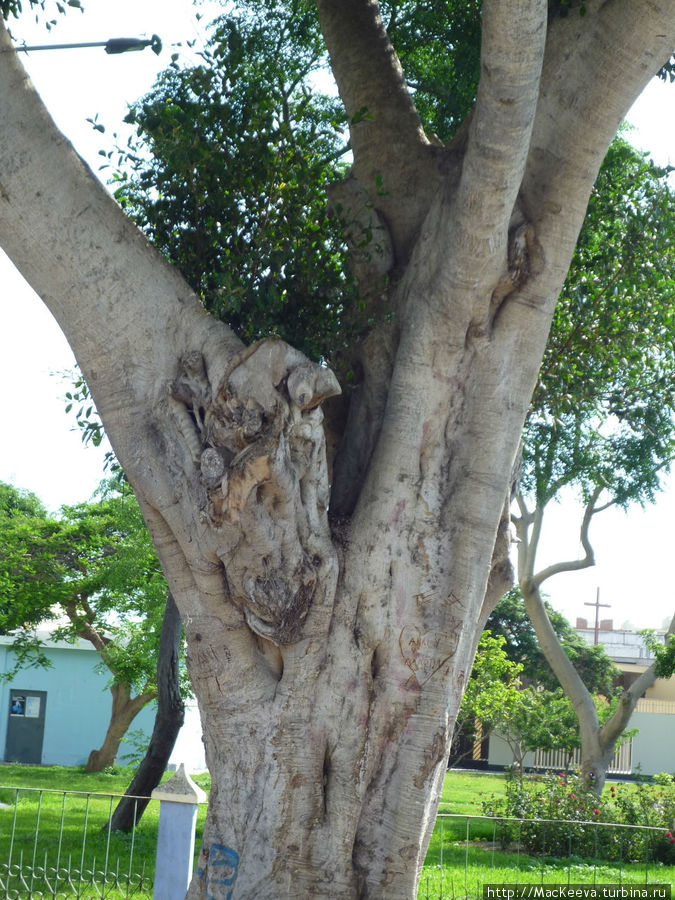Трухийо - город, который стоит посетить... Трухильо, Перу Трухийо - город, который стоит посетить... Трухильо, Перу