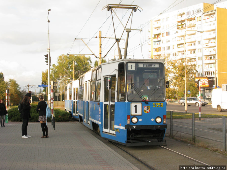 Много трамваев разных форм Вроцлав, Польша