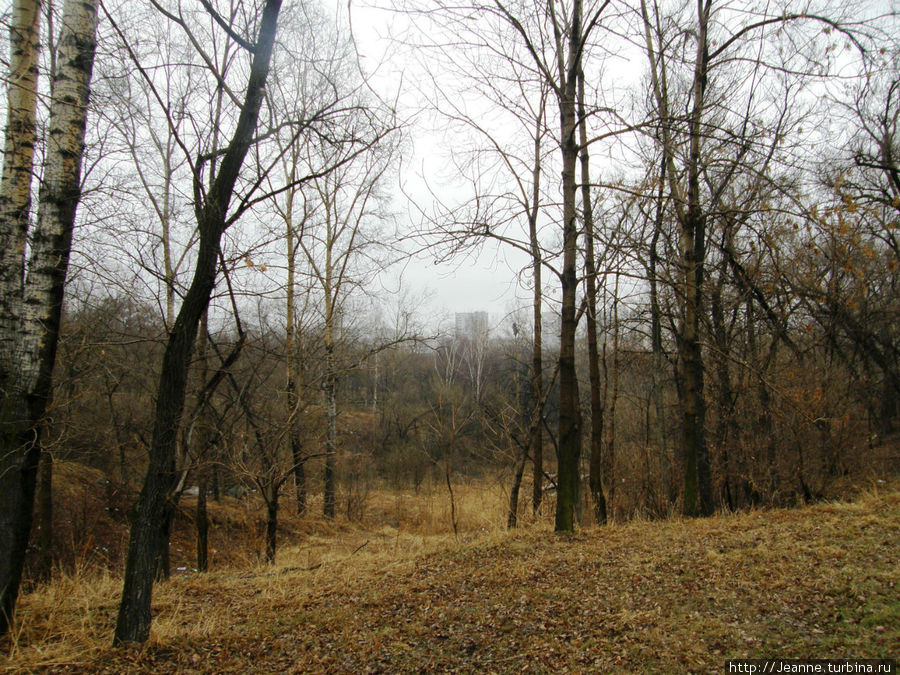 А какой необыкновенный, весенний  воздух  — запах листвы и мокрой травы! Хабаровск, Россия