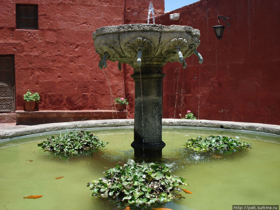 Арекипа, февраль 2012
Монастырь Санта -Каталина Арекипа, Перу Арекипа, февраль 2012
Монастырь Санта -Каталина Арекипа, Перу