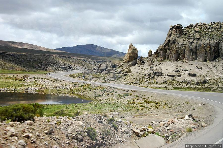 Впереди Каменный лес Впереди Каменный лес