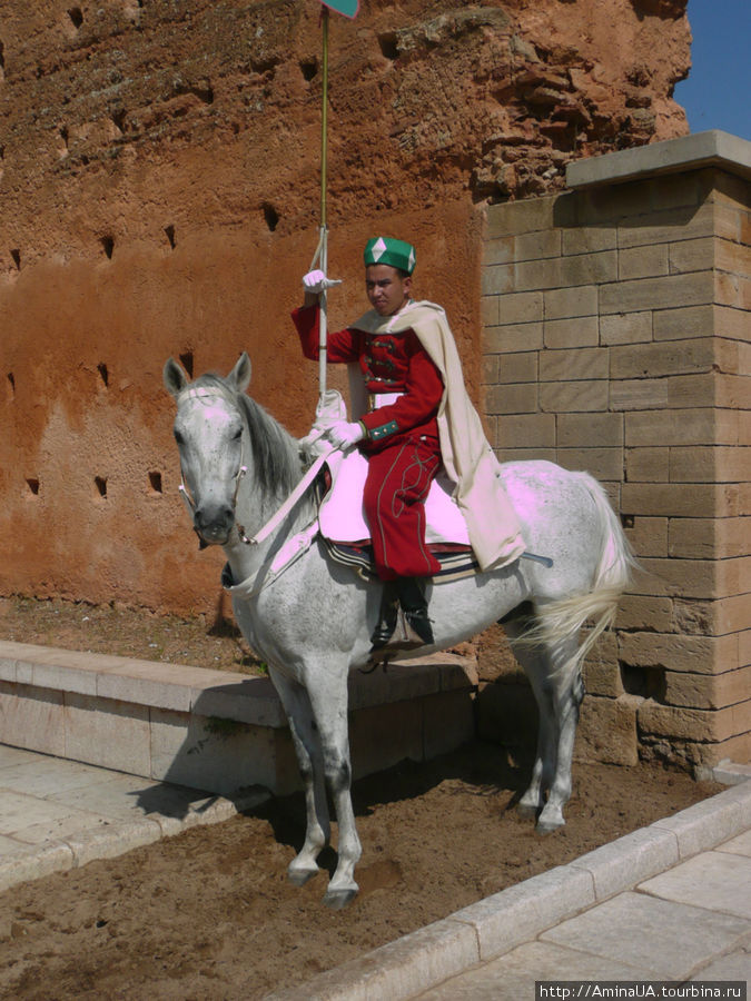 королевская гвардия Рабат, Марокко