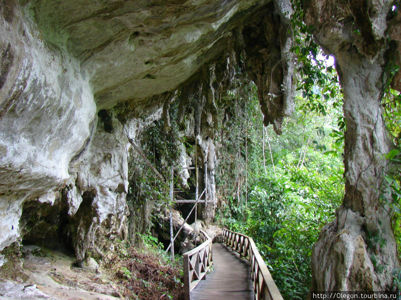В пещерах проложены мостики и дорожки Мири, Малайзия