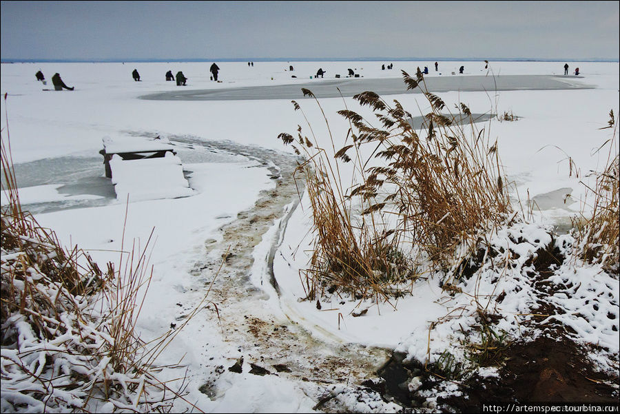 Озеро богато лещем, щукой и окунем, поэтому на льду всегда множество рыбаков Ростов, Россия