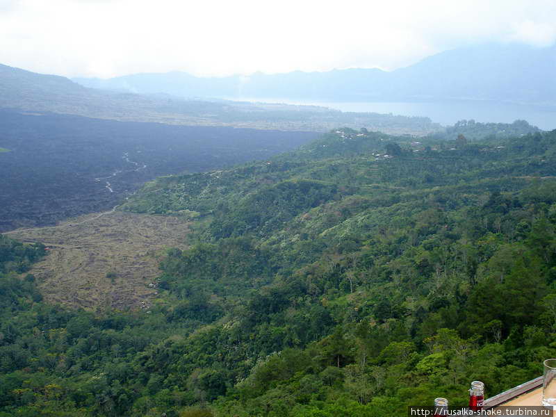 Кинтамани в тумане и строительных лесах Бангли, Индонезия