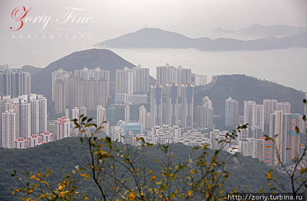 Вид на город с Пика Виктории. Гонконг Китай
