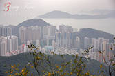 Вид на город с Пика Виктории. Гонконг