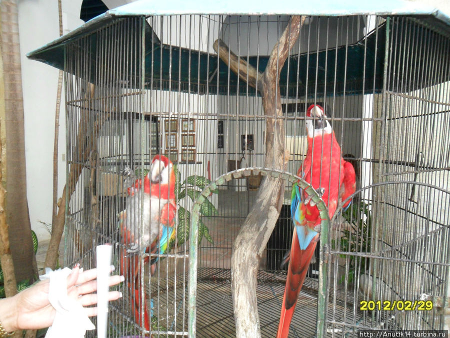 в музее Симона Боливара Гавана, Куба в музее Симона Боливара Гавана, Куба