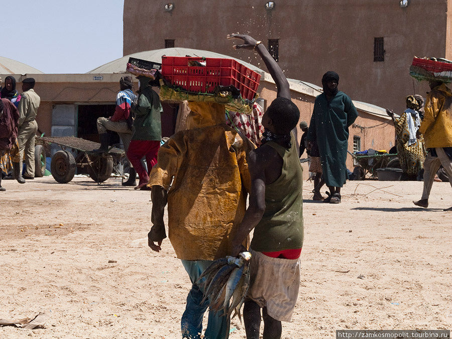Рыбный рынок в Нуакшоте. Вокруг носильщиков снуют пацанята, хватающие то, что выпадает из корзин. Если ничего не выпадает, хватают сами. Мавритания