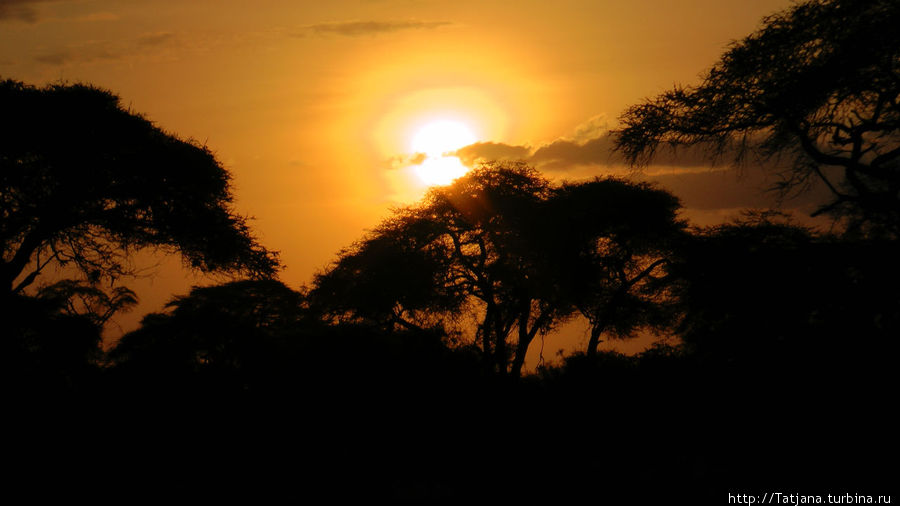 Вой Вайлдлайф Лодж / Voi Wildlife Lodge