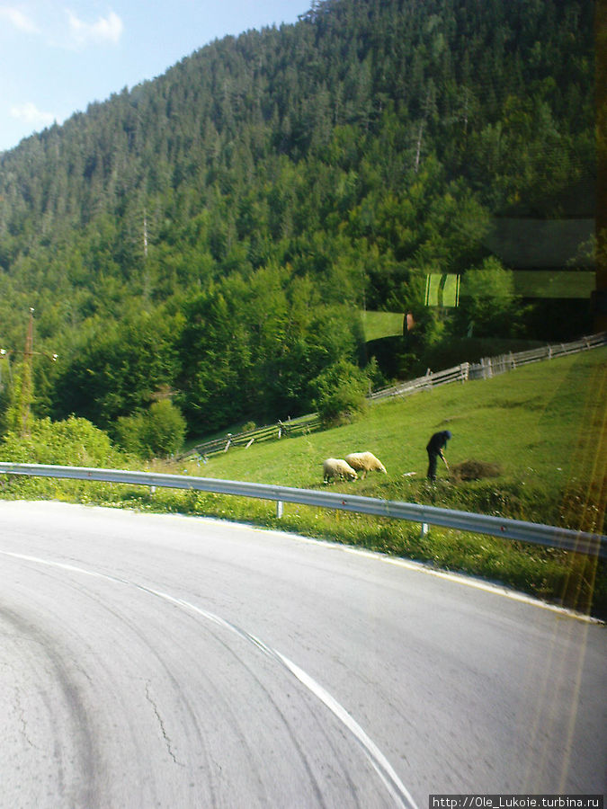 А это просто так, дорога из национального парка )) Будва, Черногория