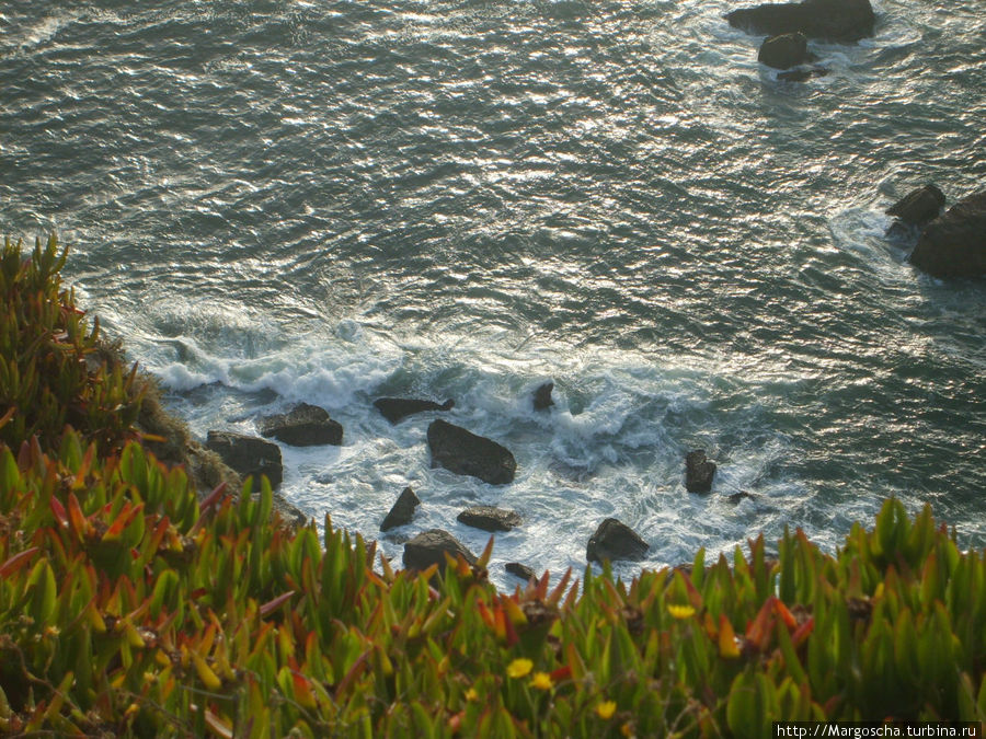 Ласковые волны..Зелёный ковёр.. Кабу-да-Рока, Португалия