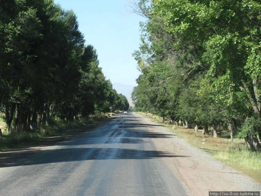 объездная дорога в Кочкор Киргизия
