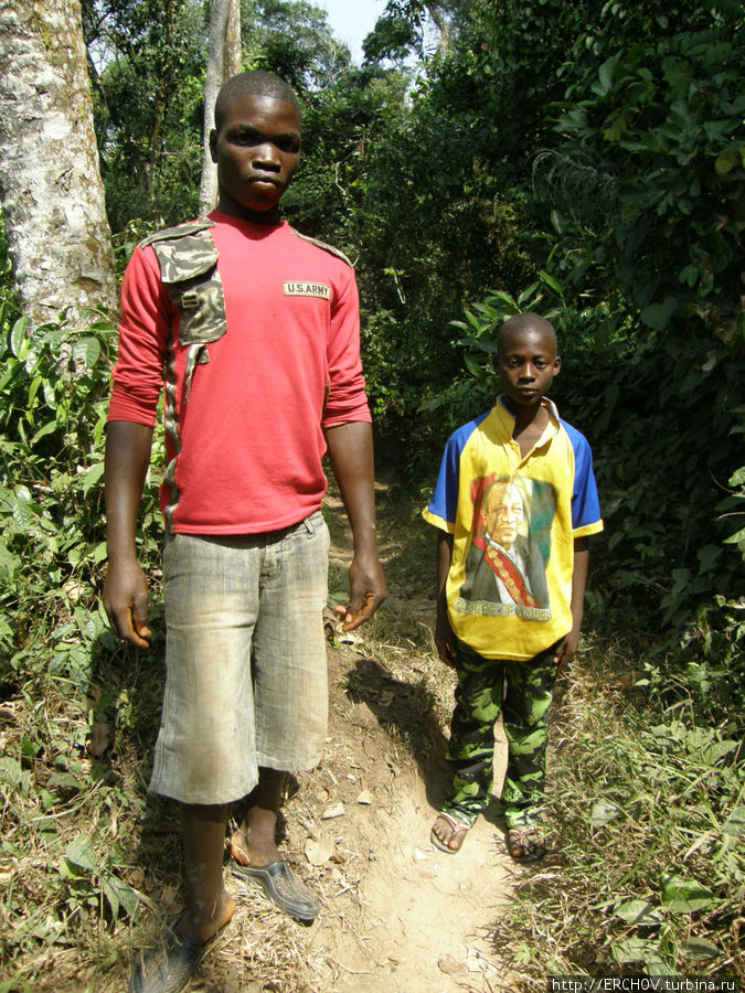 По Западной Африке. Ч 16. Священный лес Провинция Нзерекоре, Гвинея По Западной Африке. Ч 16. Священный лес Провинция Нзерекоре, Гвинея