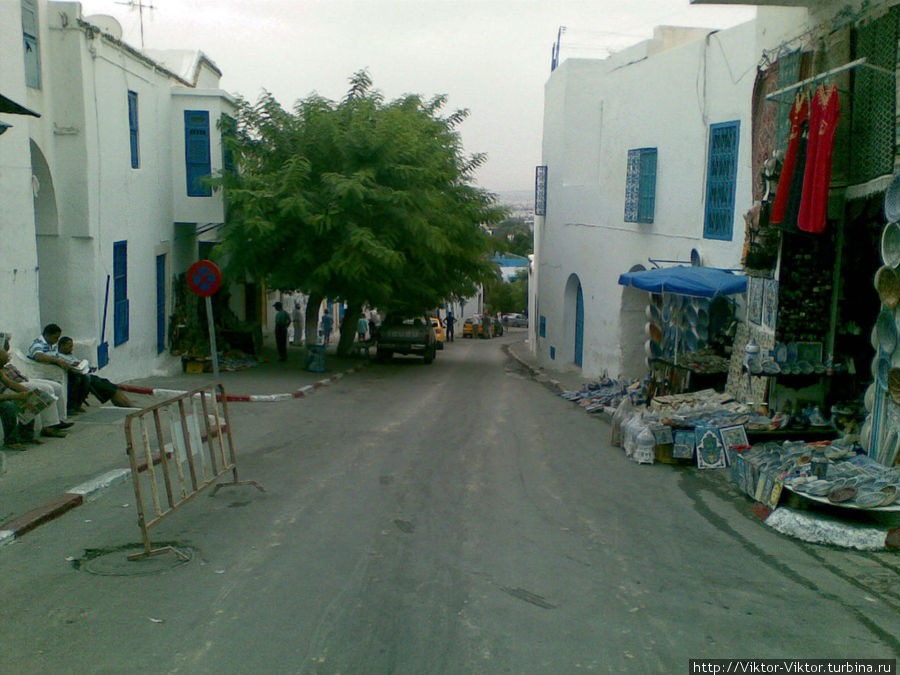 В Карфаген на электричке. Бело-голубой город Сиди-Бу-Саид Сиди-Бу-Саид, Тунис