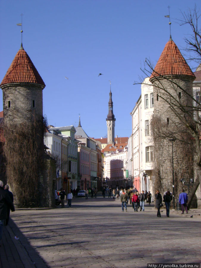 Весенние прогулки по Таллину Таллин, Эстония