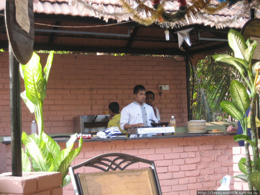 Строгий специалист по жарке яиц. Калангут, Индия