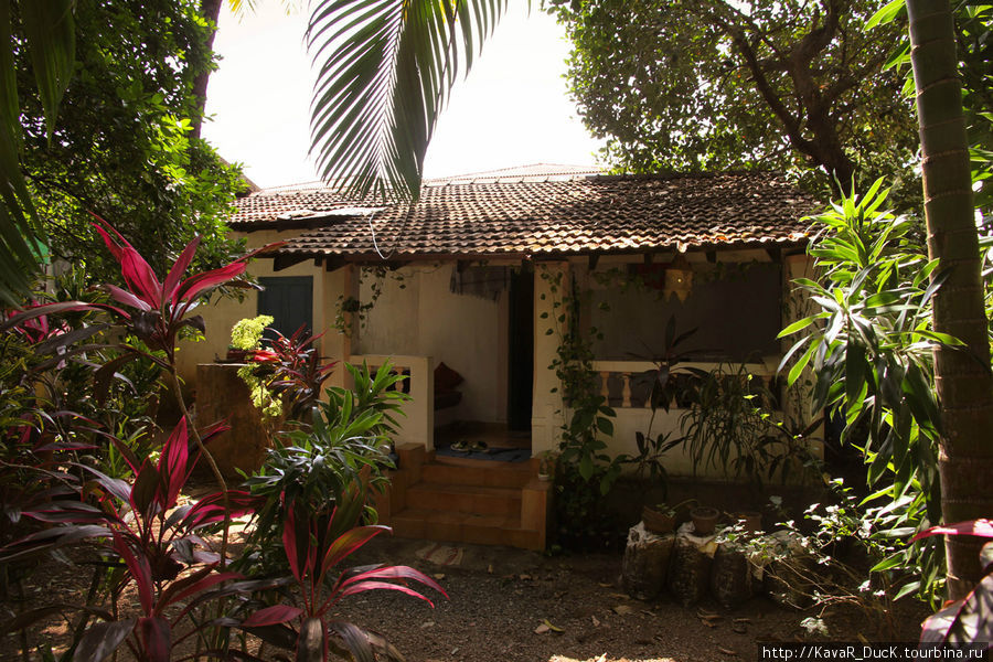 Наш дом в Гоа Вагатор, Индия