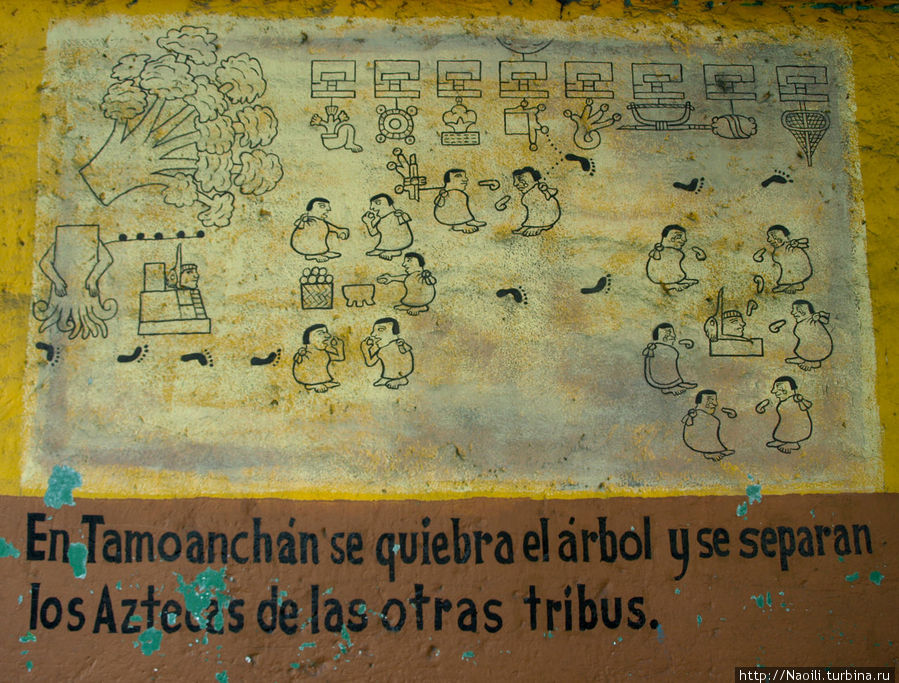 В Тамоанчáн падает дерево и отделяет ацтеков от других племен. Тула-де-Альенде, Мексика