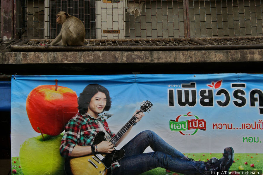 Эх, гитару бы мне! а ведь так похожи Лоп-Бури, Таиланд