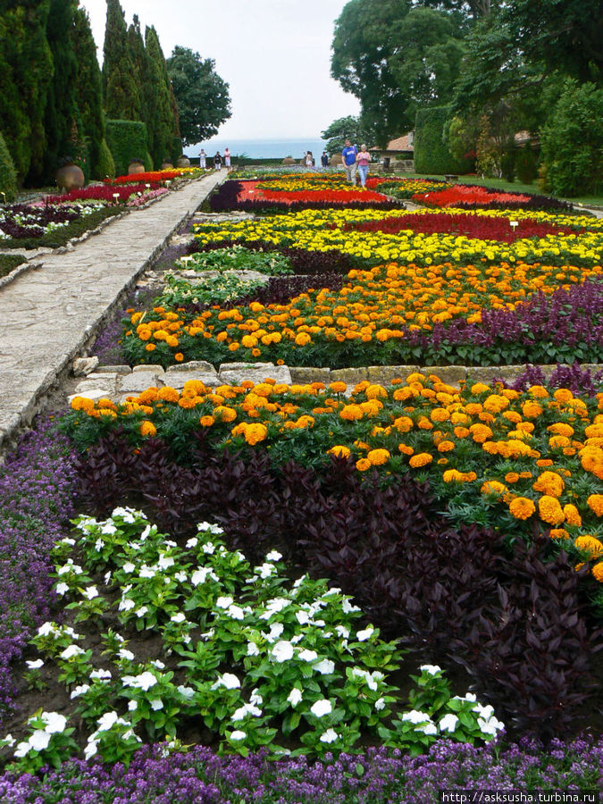 Экскурсия в ботанический сад Балчика Балчик, Болгария