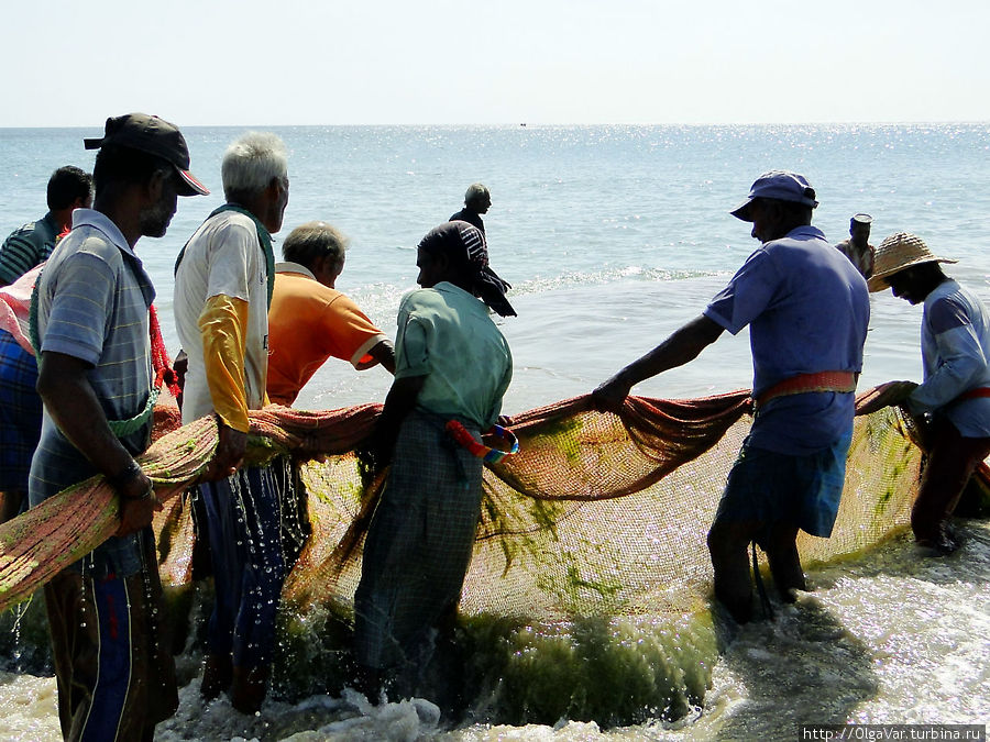 Интересно, какое заклинание произносят рыбаки. Наверное, что-то типа — Ловись рыбка, большая и маленькая... Тринкомали, Шри-Ланка