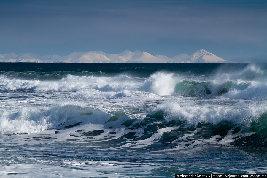 Тихий океан: наш берег Камчатский край, Россия