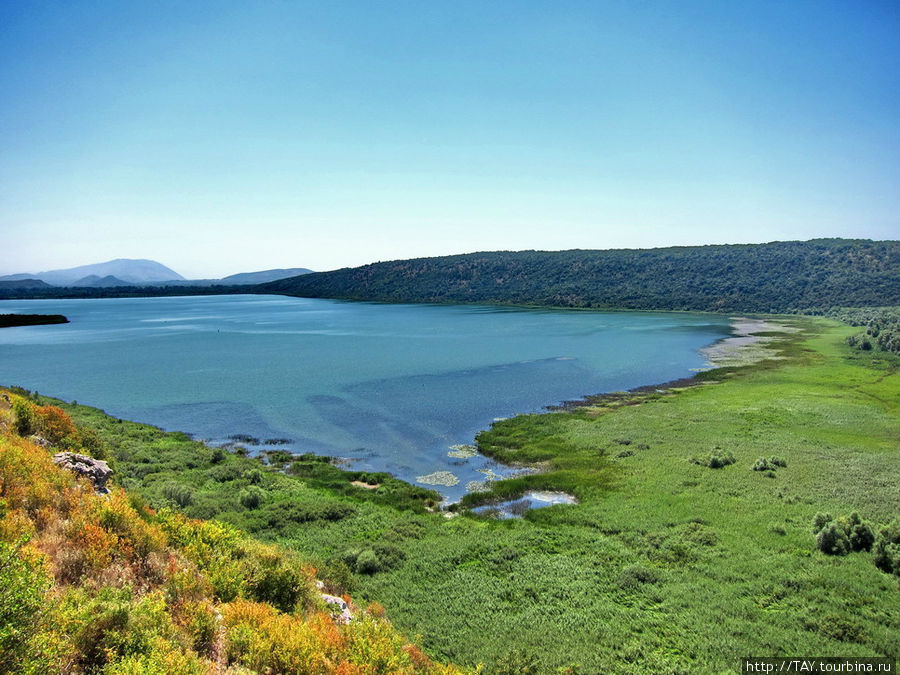 Шацкое озеро Озеро Саско, Черногория