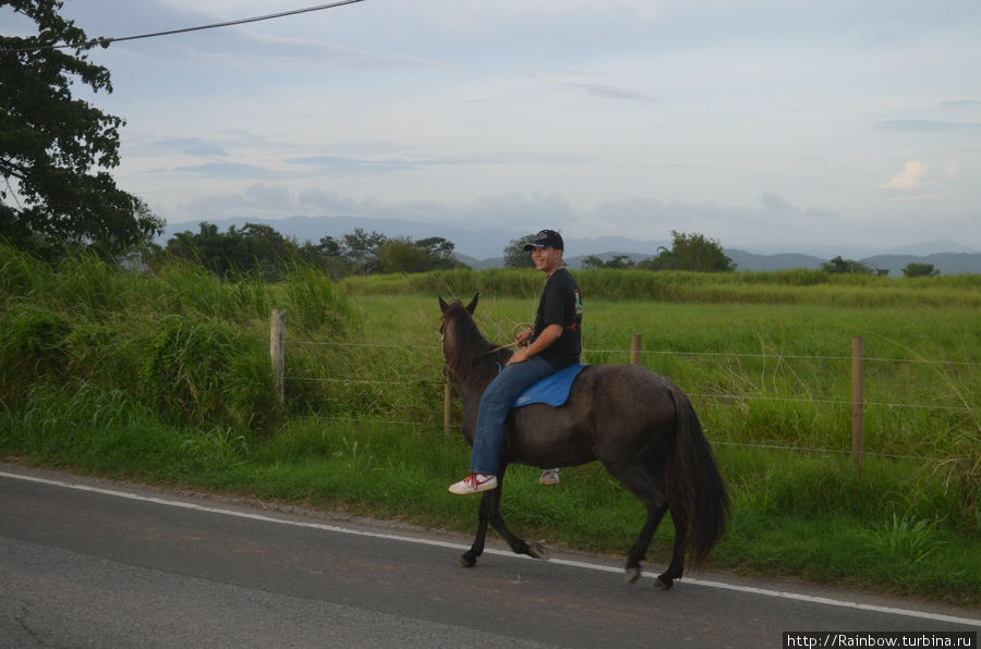Встречи и открытия на дорогах Пуэрто-Рико Кабо-Рохо, Пуэрто-Рико Встречи и открытия на дорогах Пуэрто-Рико Кабо-Рохо, Пуэрто-Рико