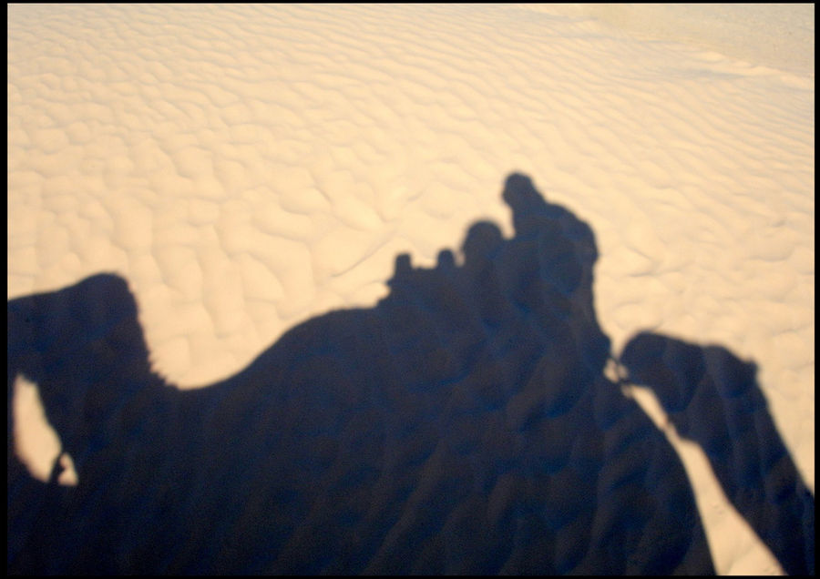 Я редко попадаю в кадр, чаще это делает моя тень.  В данном случае наша с верблюдом. Тунис