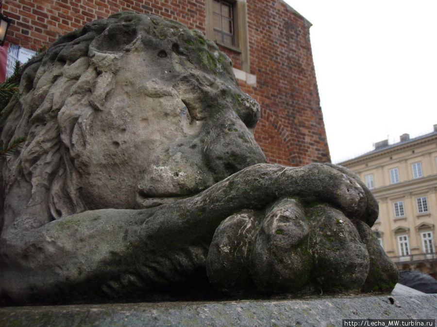 Дремлющий лев у входа в башню Краков, Польша