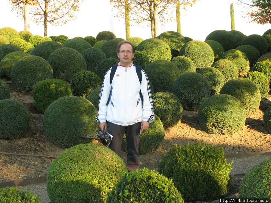 В саду замка Амбуаз Центр-Долина Луары, Франция