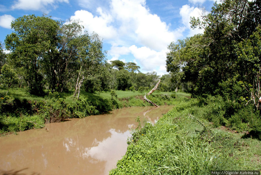 Реки здесь мутные и коричневые Наньюки, Кения
