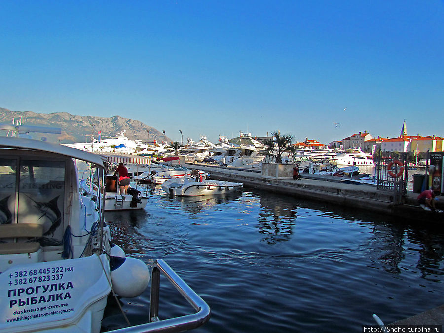 Порт в Будве, ну или скорее, стоянка для яхт и катеров Будва, Черногория