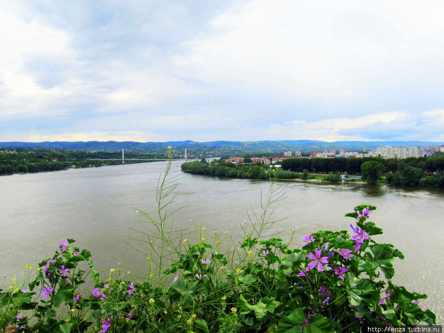 Из крепости открывается замечательный вид на Дунай. Петроварадин, Сербия