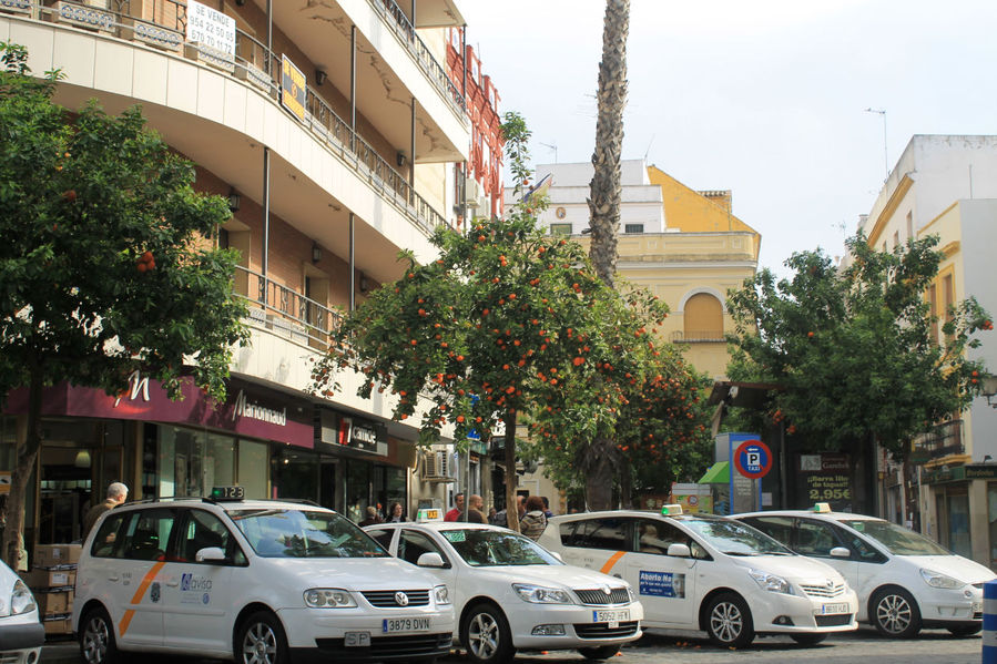Город с чудесным запахом Севилья, Испания