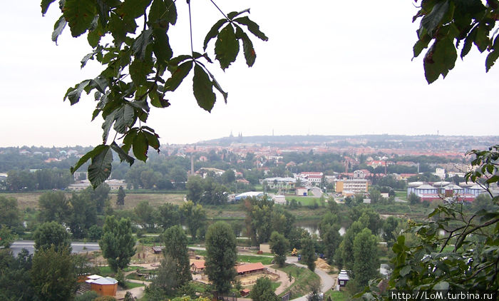 виды зоопарка и виднеющийся центр Праги виды зоопарка и виднеющийся центр Праги