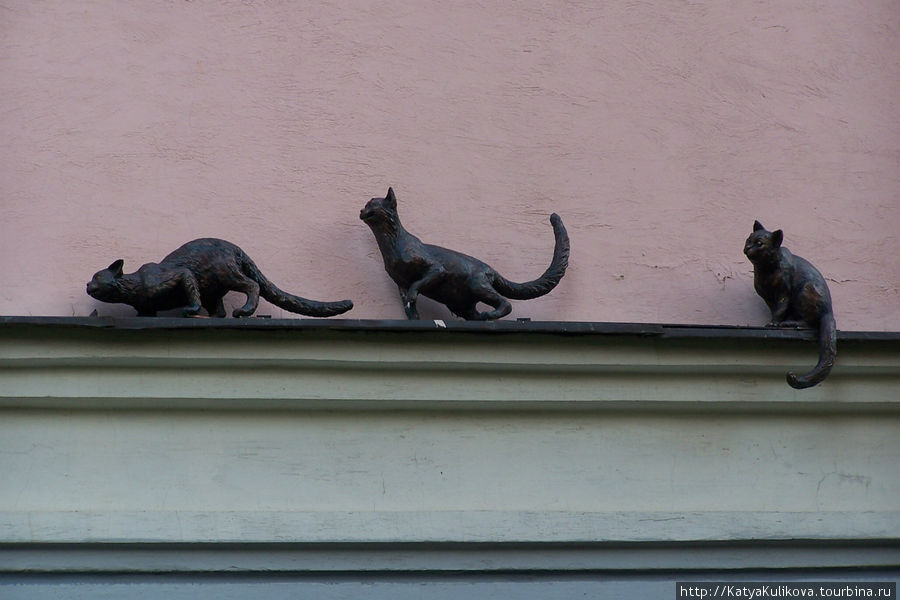 Милый памятник котятам есть не только в Питере Великий Новгород, Россия