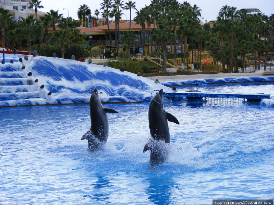 Тенерифе туристический Тенерифе туристический