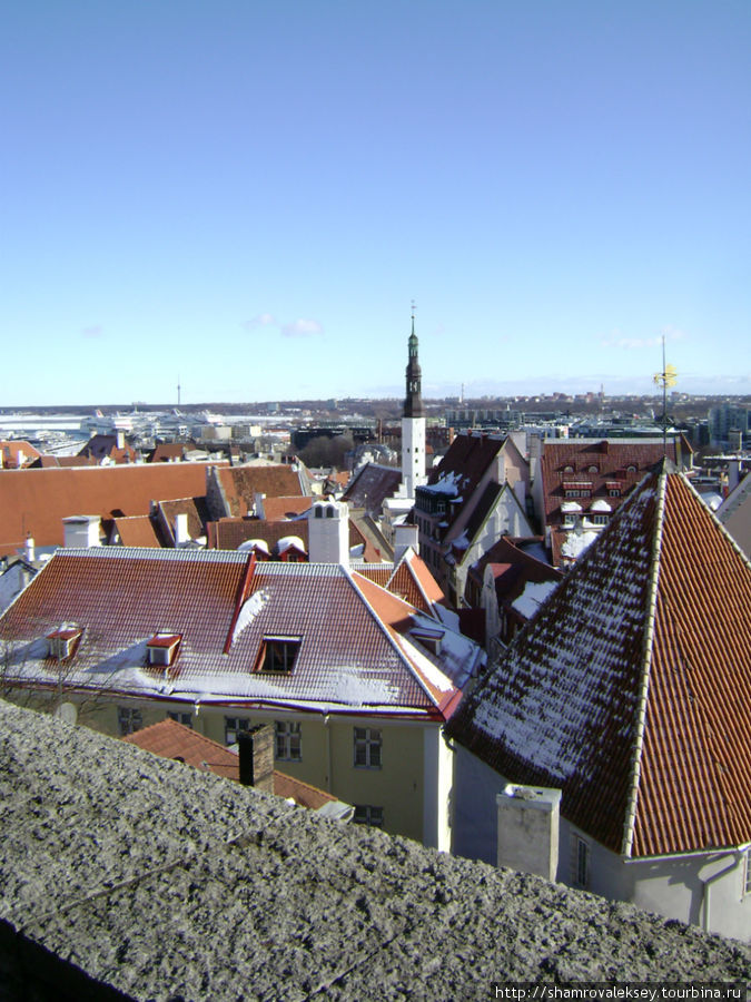 Лучший вид на черепичные крыши Старого Таллинна Таллин, Эстония