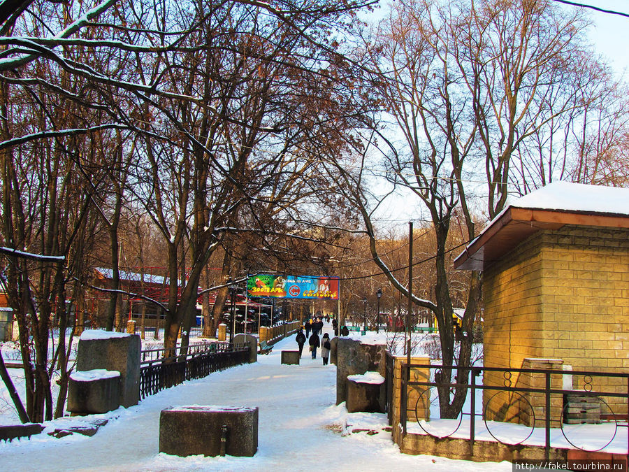 Зимой в саду Шевченко Харьков, Украина
