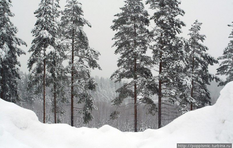 Финляндия - снежная страна Ювяскюля, Финляндия