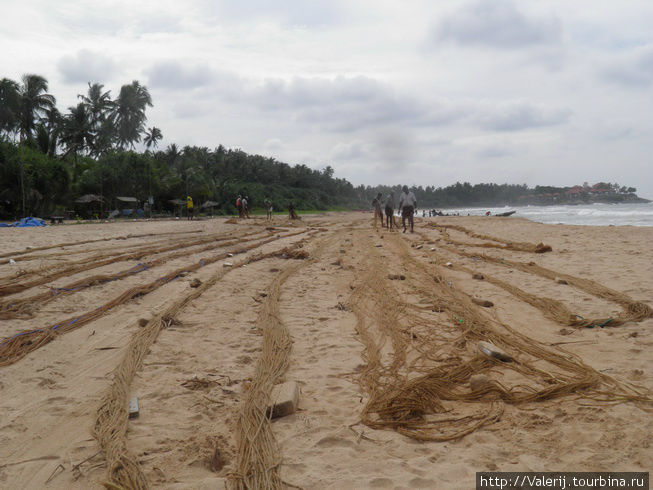 Сети сохнут, если это слово применимо в столь влажном климате. Сети сохнут, если это слово применимо в столь влажном климате.