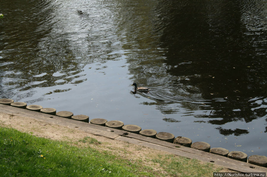 Юность Риги Рига, Латвия Юность Риги Рига, Латвия