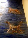 Ворота богини Иштар из Вавилона. Фрагмент