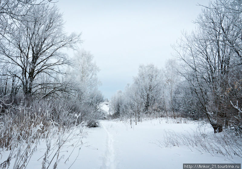 Моя Рождественская история Кировская область, Россия Моя Рождественская история Кировская область, Россия