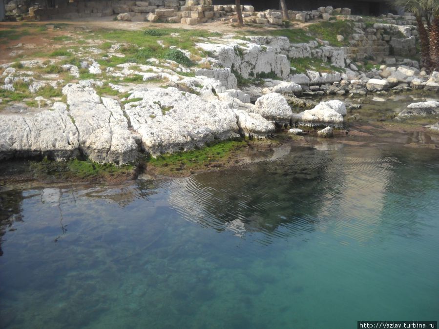 Светлей лазури Светлей лазури