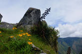 На горе Мачу-Пикчу