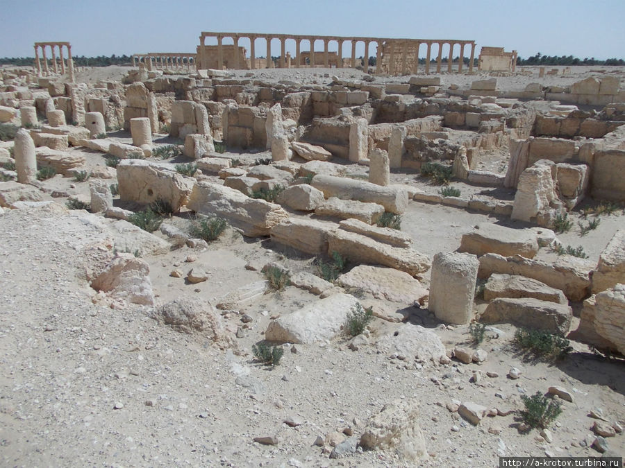 несколько гектаров развалин Тадмур (Пальмира), Сирия